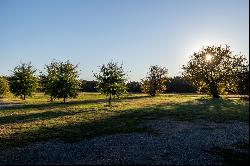 Sandy Oaks Ranch