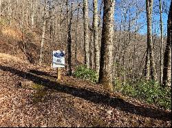 Lot 36 Hickory Cove Rd., Bryson City NC 28713