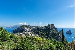 Design property with a breath taking view on the Faraglioni rocks