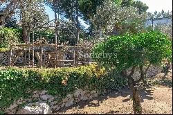 Wonderful villa with garden and seaview in Anacapri