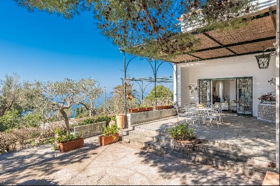 Wonderful villa with garden and seaview in Anacapri