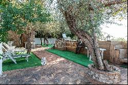 Charming villa with olive grove and swimming pool overlooking the sea