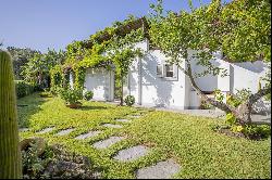 Bright villa nestled in the greenery