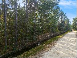 Lot With Buildable Potential in Santa Rosa Beach