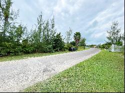 Palm Cay Lot 163