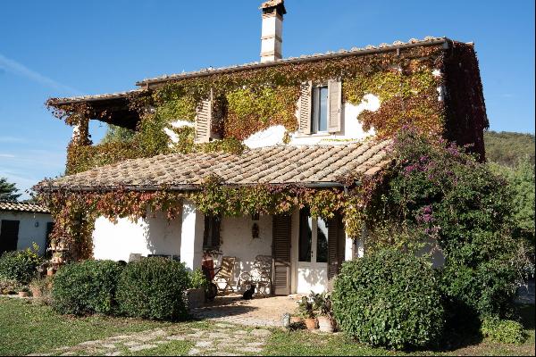 Farm/Ranch/Plantation for sale in Capalbio (Italy)