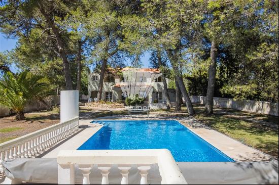 Seaside Splendor with Stunning Views