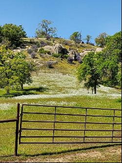 0 Spinecup Ridge, Raymond CA 93653