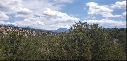 Lot L14 Sandia Canyon Road, Arroyo Hondo NM 87513