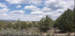 Lot L14 Sandia Canyon Road, Arroyo Hondo NM 87513