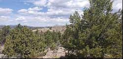 Lot L14 Sandia Canyon Road, Arroyo Hondo NM 87513