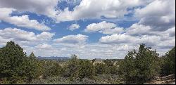 Lot L14 Sandia Canyon Road, Arroyo Hondo NM 87513