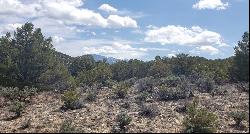 Lot L14 Sandia Canyon Road, Arroyo Hondo NM 87513