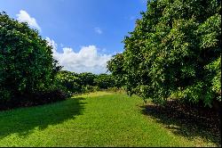 Eagles Nest, Easy Hall, St. Joseph, Barbados