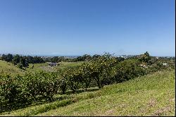 Lot 2, 226 Puketitiri Road