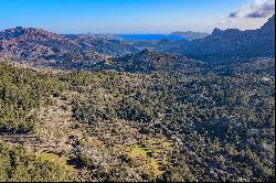 Finca, Pollensa, Mallorca, 07460