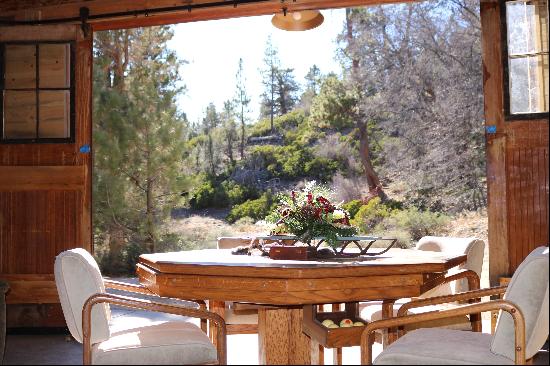 11 Polique Canyon Trail, Fawnskin, Ca 92333