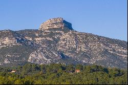 Aubagne - Family Home with Unobstructed Views of the Hills and Guesthouse