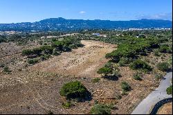 Real estate land for Sale