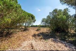 Real estate land for Sale