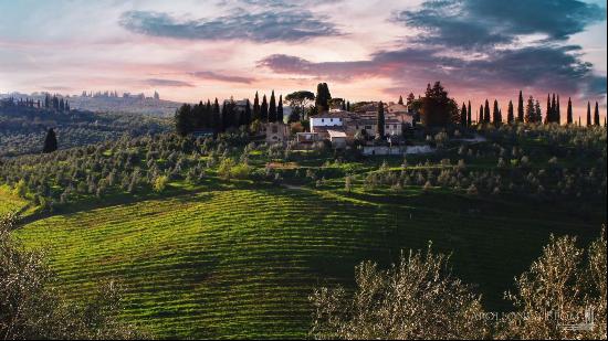 The Cypress Mansion, Chianti DOCG vineyards, Firenze - Tuscany 