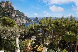 Magnificent villa overlooking the Faraglioni rocks