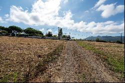 Real estate land for Sale