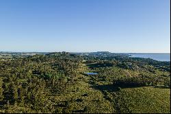 Exclusive 366-acre Estate with Panoramic Views and Private Coast