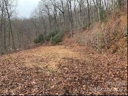 Lot 36 Hickory Cove Road, Bryson City NC 28713