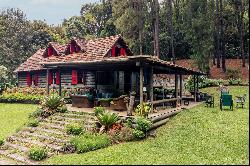 House in the mountains with a water spring and a helipad