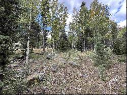 Lot 1407 Camino Real, Angel Fire NM 87710