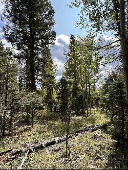 Lot 1407 Camino Real, Angel Fire NM 87710