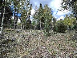 Lot 1407 Camino Real, Angel Fire NM 87710