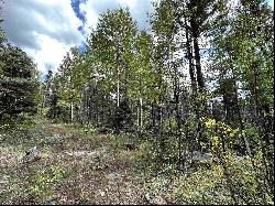 Lot 1407 Camino Real, Angel Fire NM 87710