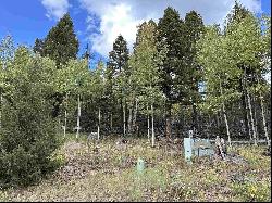 Lot 1407 Camino Real, Angel Fire NM 87710