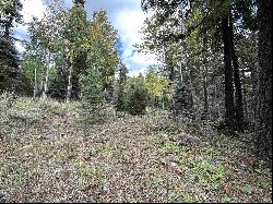 Lot 1407 Camino Real, Angel Fire NM 87710