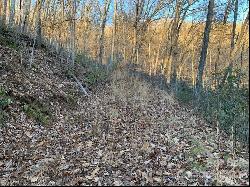 Lot 71 Still Branch Road, Sylva NC 28779