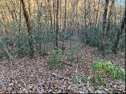 Lot 71 Still Branch Road, Sylva NC 28779