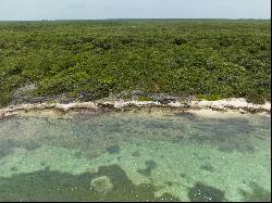 North East Coast Ocean Front Land