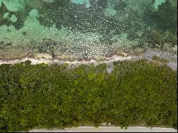 North East Coast Ocean Front Land