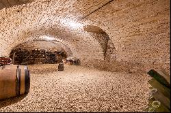 Magnifique propriété avec Manoir du 19ème à proximité de Beaune Bourgogne