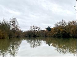 Property with pond