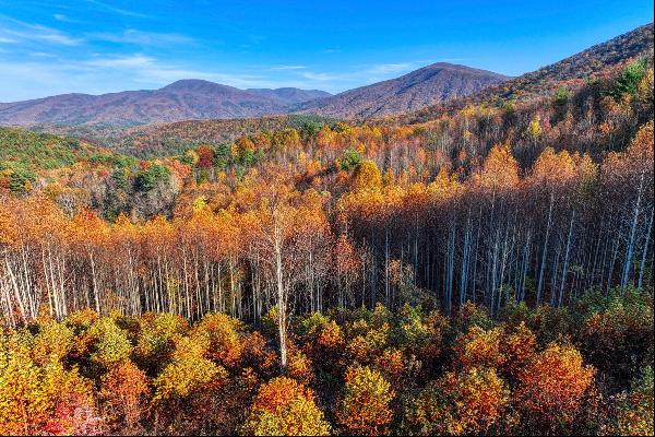 Bull's Peak Estates: Premier Mountain View Tracts in East Tennessee