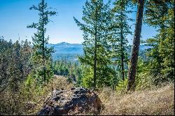 Magnificant CDA Lake View Lot