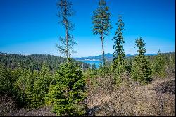 Magnificant CDA Lake View Lot