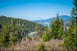 Magnificant CDA Lake View Lot