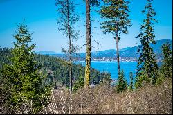 Magnificant CDA Lake View Lot