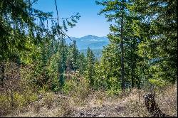 Magnificant CDA Lake View Lot