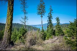 Magnificant CDA Lake View Lot