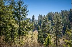 Magnificant CDA Lake View Lot